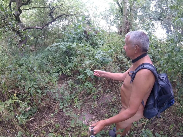 Andy: Promenade 50 2025