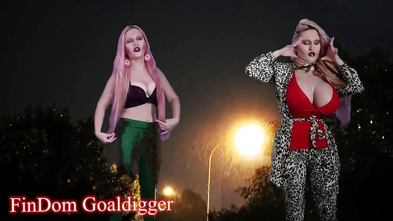 FinDom Goaldigger: 翼の変形を伴うハイブリッド