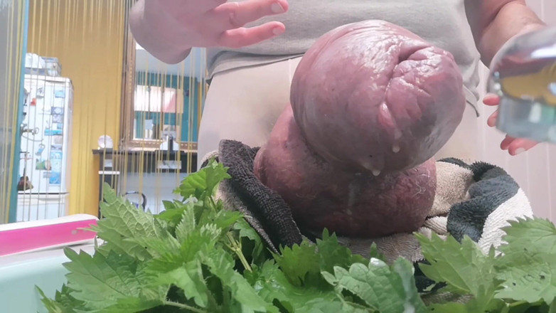 Monster_Meat_: Muncrat dengan Nettles dan Thootbrush