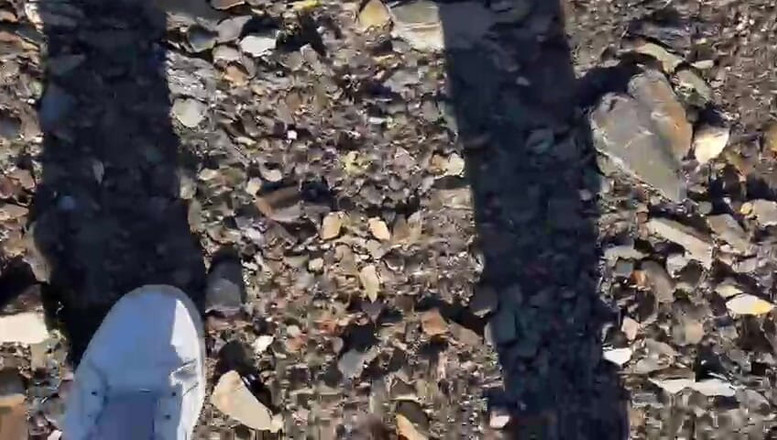 DarrellDeeps: Cô ấy thổi tôi con cặc sừng sỏ