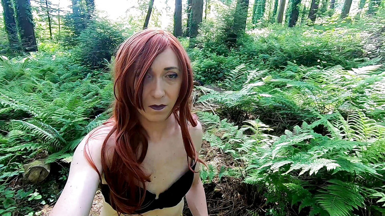 The Midnight Minx: 森の近道