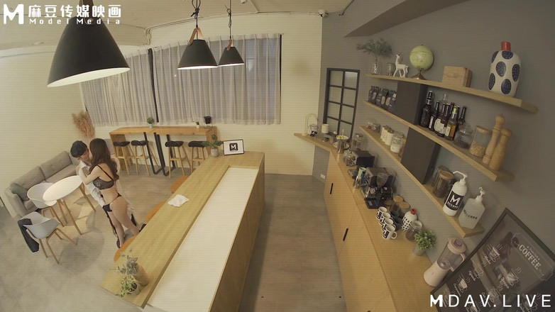 ModelMedia Asia: MDWP-0019 Adultery Cafe / Noua serie Voyeur