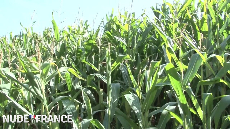 La France a Poil: Brunette disetubuhi oleh dua bajingan terangsang