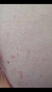 Cheeky Starfish Wink untuk Awak Semua