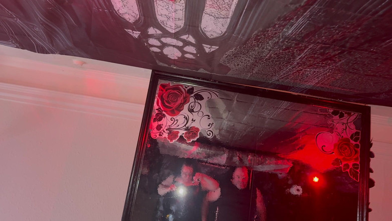 Aaexperinces trans: ドミナ・サタナ、ラニツァ・ベア、そして私たちのテレビ字幕