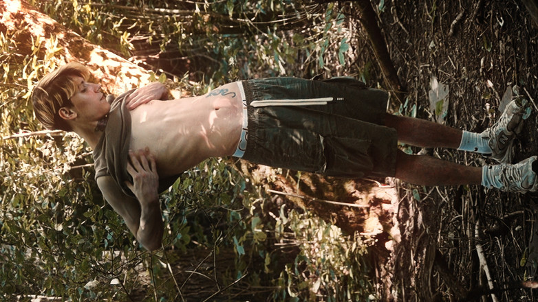 HotDogs studio: Woods Player