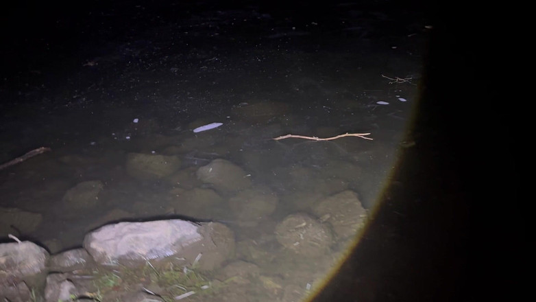 Putarankahotmilf: Escursioni notturne e asporto la maggior parte dei miei vestiti