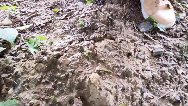 Adele Amber: Hujan di alam