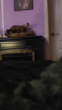 Giantess Loves to Play Hide and Seek