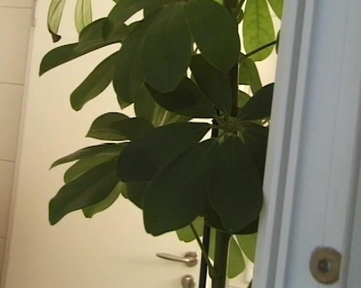 BB Video - Vintage Story: Німецька аматорська тінка з великими натуральними цицьками брюнетка відтрахана No1