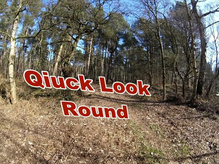 Andy: Spacer 33 2025