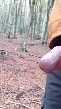 Pee in the Woods