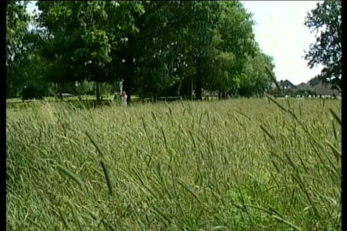 Dark Holes: Der Polizeibezirk 69