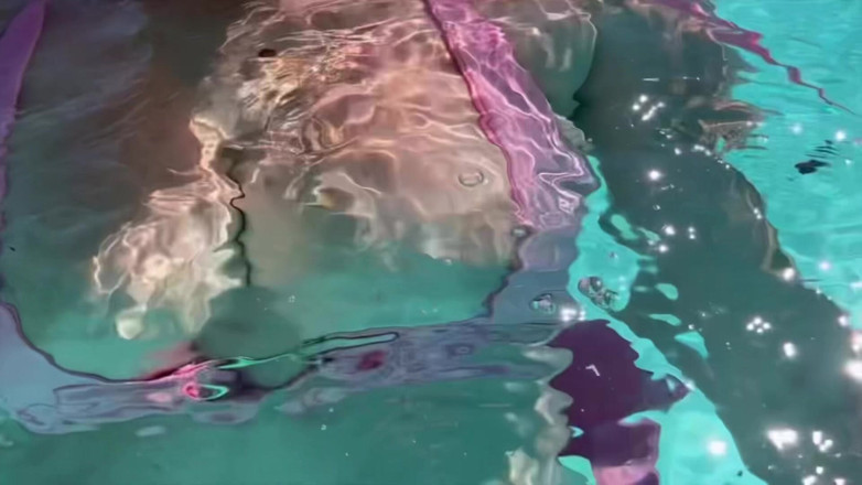 Artemisia Love: Artemisia Love Sexy Bikini Fetish Underwater Wet Top Big Boobs...
