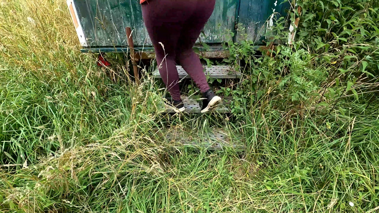 Bouncy Tits Action: Tits Training on Pasture and Meadow