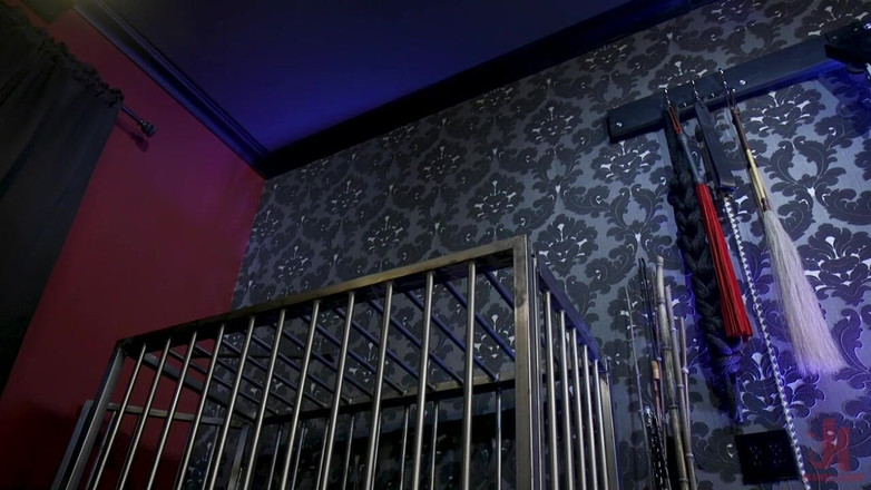 Kink TS: Покарання хлопця: TS Foxxy трахає дупу бойфренда-невдахи Майка Паніка