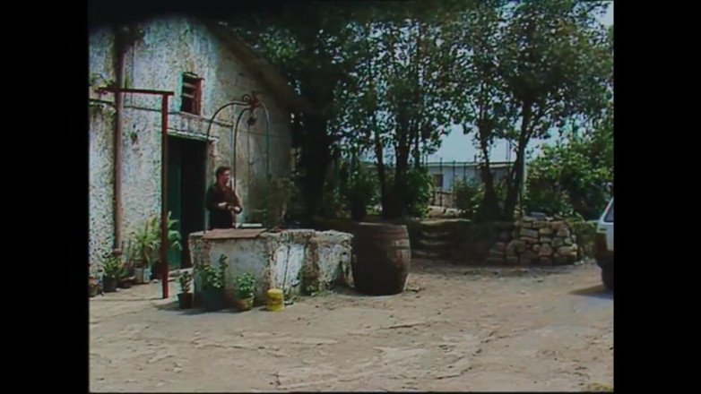 Bisco Birchwood Productions: 全天然家庭妻子与荡妇阴户！