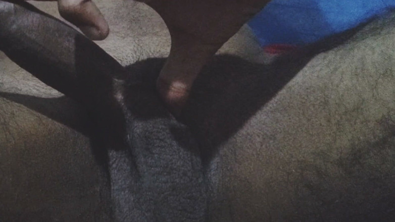 Robbie Dog: Indian Desi Guy Cock for Valentine Day Special