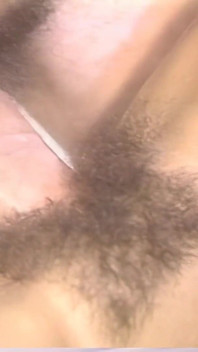 The King of Porn