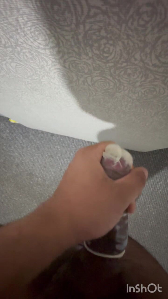 Dick dank: Boy Masturbating in Condom