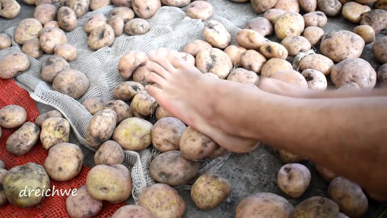 Dreichwe: Touching delicious potatoes with the feet