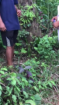 Quicky in the Bush, Almost Got Caught