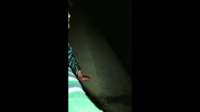 Idmir Sugary: Kencing kencing dengan ereksi di bawah jambatan - zakar yang belum...