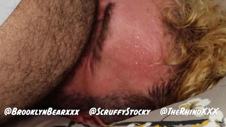 ScruffyStocky: Włochaty niedźwiedź miażdży dwie pasywki: trójkąt świnia, świnia, jockstrapy przeleciały się