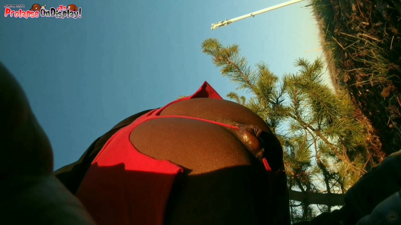 Ass Monkey: Lubang pantat dihabisin