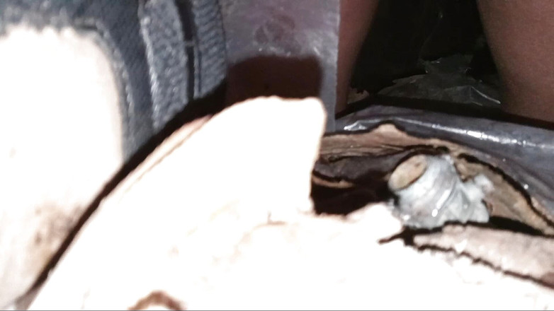 Pharoah Zeus: 뒷골목 애널 파이널 컷