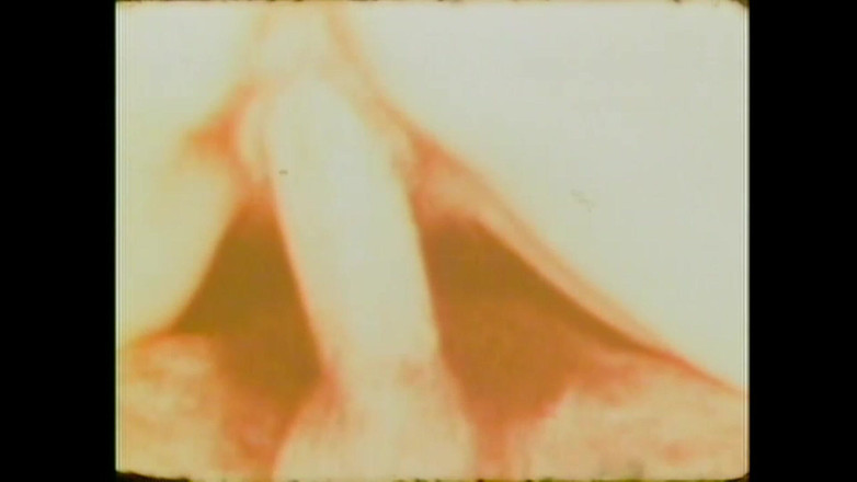 Vintage Megastore Full hd: 칸디다 로얄 돼지 빨판 수탉