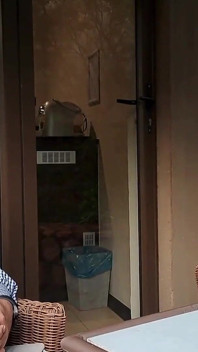 Compilation Cum Whore Breeding While Cuckold Husband Watches.