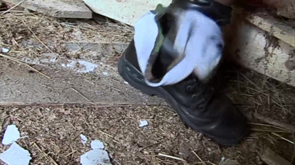 Public Entertainment: Brunette army girl fucking in a barn
