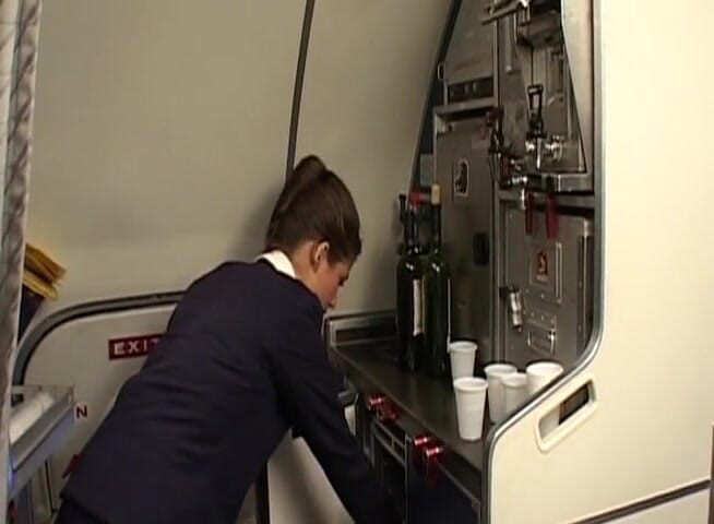 Analiscius: Stunning brunette gets ass fucked by airplane pilot
