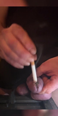 Schwanzkopf mit Zigaretten wagt