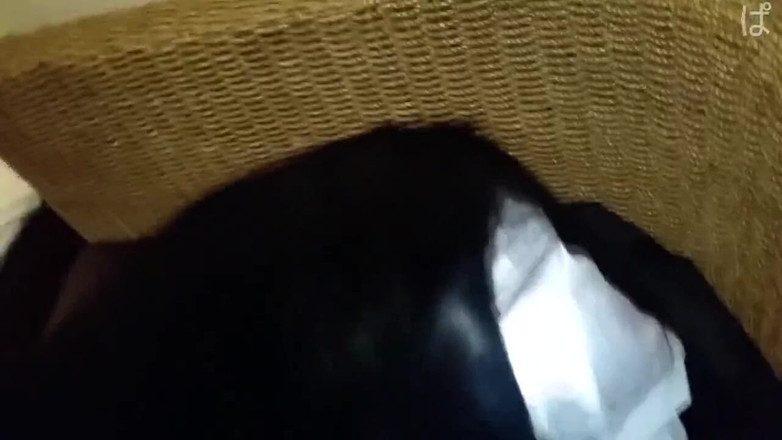 Asian cutie: Asian Angel 14505