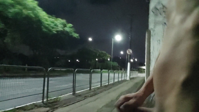 Lekexib: Naakt betrapt op de Avenue