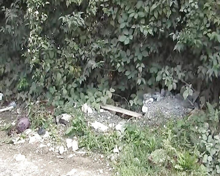 Monde Francais: Una mora francese che dà i suoi buchi ad una...