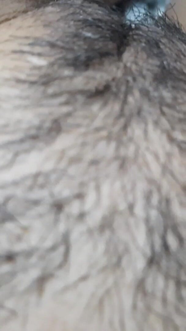 creamberryfairy: Líbí se ti to oholené nebo chlupaté?