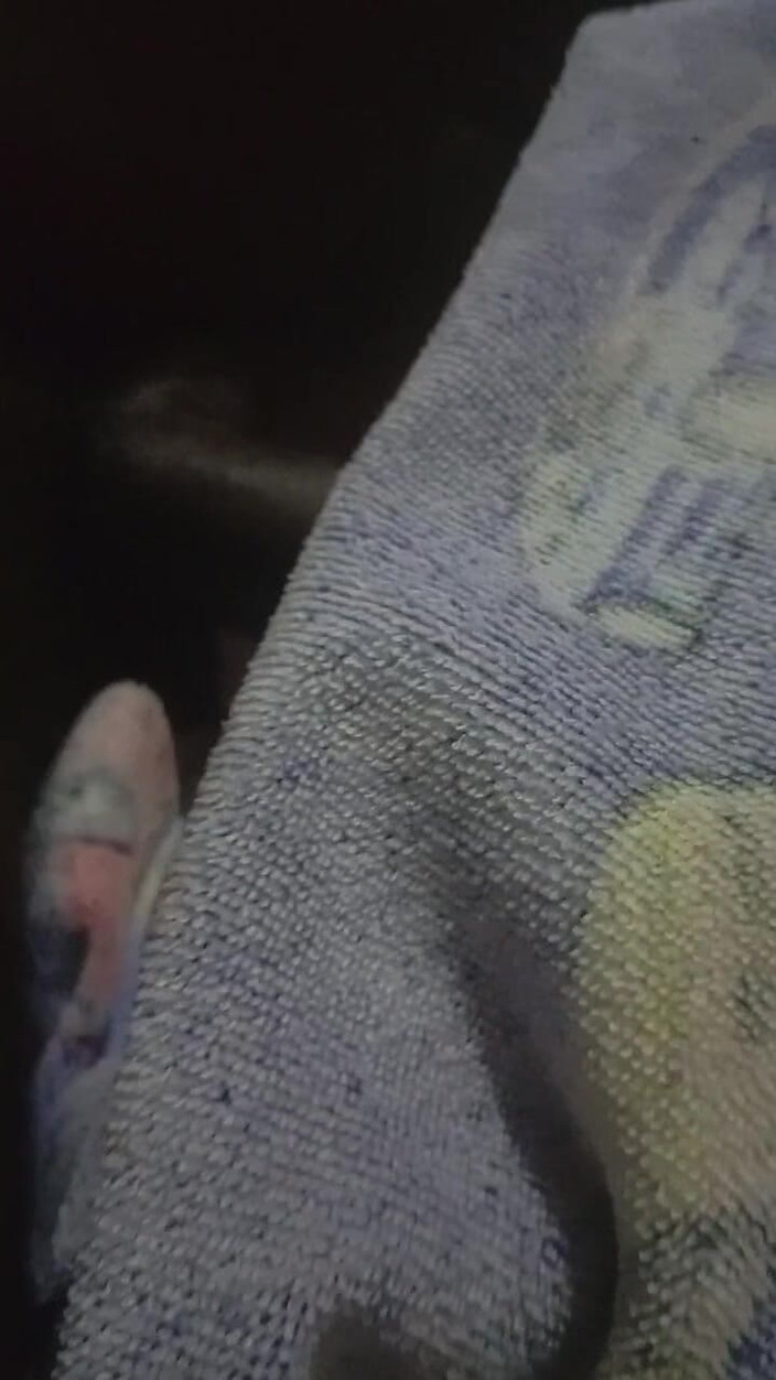 JasperTv1: На День Святого Валентина