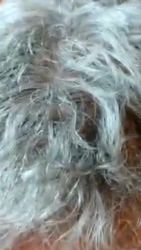 Sucking a Very Old Cock