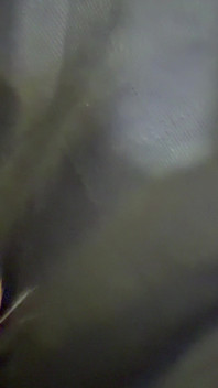 Hear Her Admit That She's Daddy Bitch