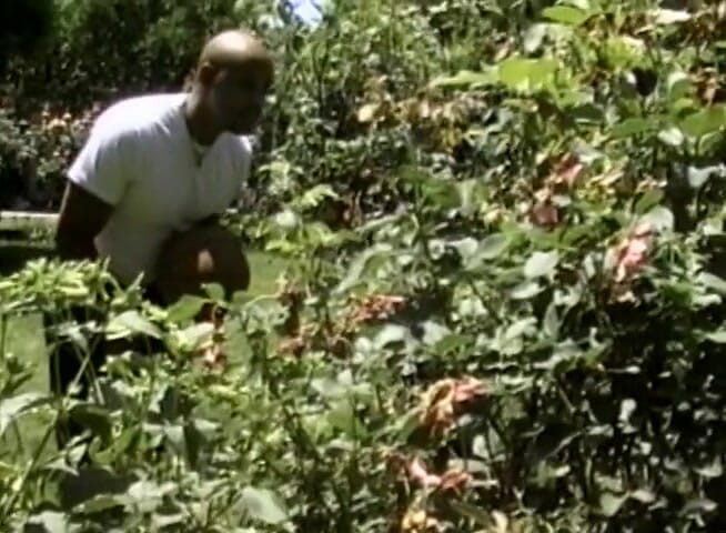 The Vintage Era: BBC drilling ebony's pussy outdoors