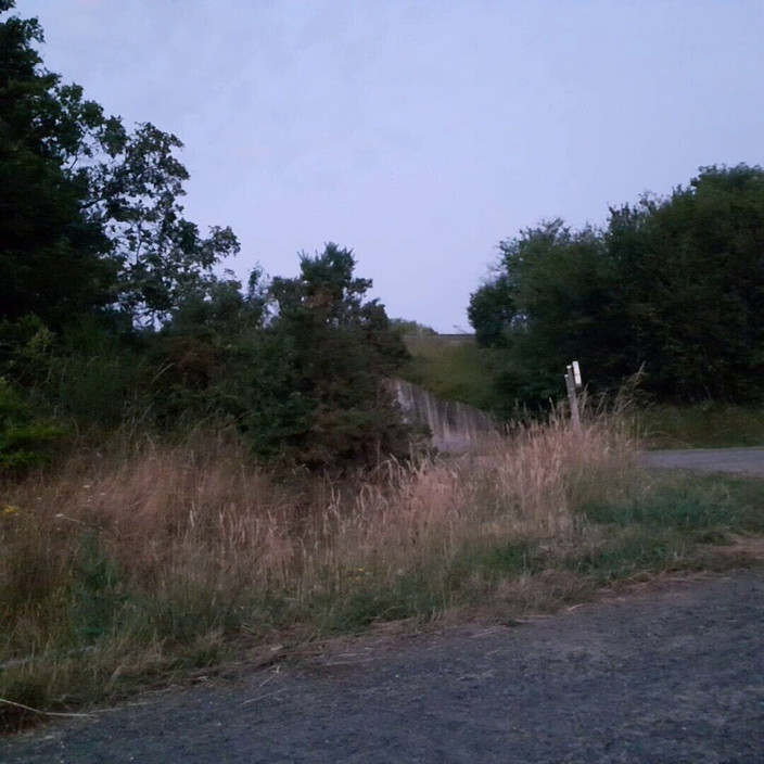 Baby Love: Güzel bir günün şafağında