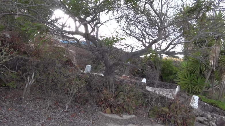 Czech Pornzone: 捷克色情巴达斯女郎度假事务 - vol 13