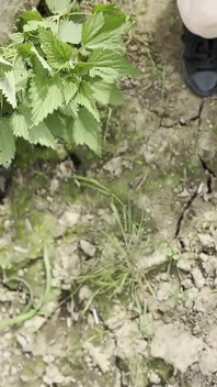 Outdoor Pasionate Blowjob, Sex and Pussy Licking