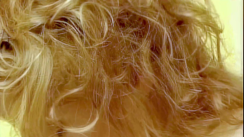 Antonio Adamo Film: Die Insel der Wünsche