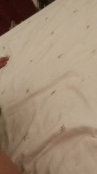 我们度过了整整一个下午的精彩性爱