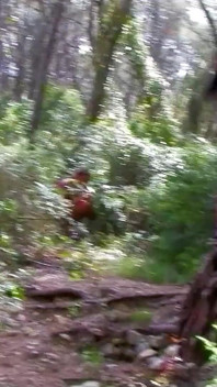 Skinny Teen Vladana fucked in the ass by step dad and friend in the forest