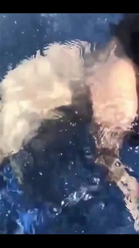 Nake nuota e scopa in piscina